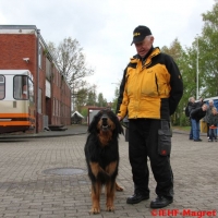 Nutzfahrzeugtreffen 2013